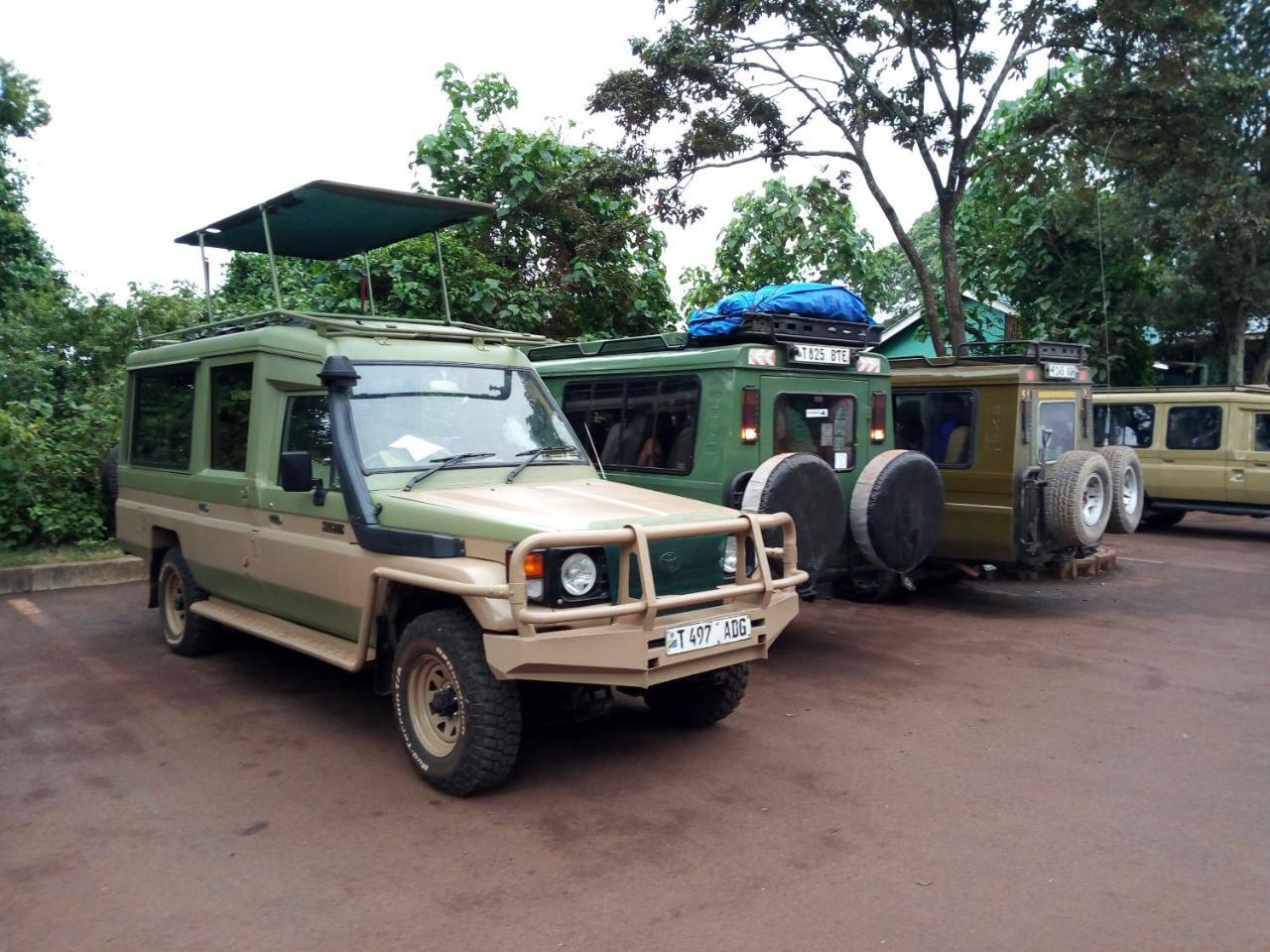 Karatu Safari Camp Lodge Zewnętrze zdjęcie